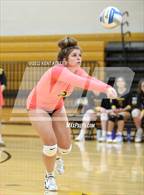 Photo from the gallery "Avondale @ Adams"