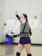 Photo from the gallery "Avondale @ Adams"