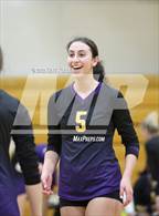 Photo from the gallery "Avondale @ Adams"