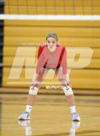 Photo from the gallery "Avondale @ Adams"