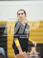 Photo from the gallery "Avondale @ Adams"