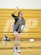 Photo from the gallery "Avondale @ Adams"