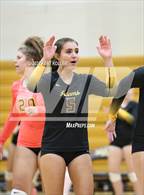 Photo from the gallery "Avondale @ Adams"