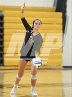 Photo from the gallery "Avondale @ Adams"