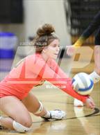 Photo from the gallery "Avondale @ Adams"