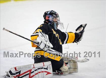 Thumbnail 3 in Lakeland-Panas @ Yorktown photogallery.
