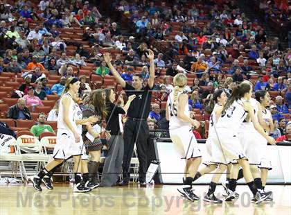 Thumbnail 3 in Plains vs. Kerens (UIL 1A Division 1 Final) photogallery.