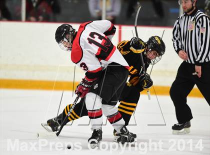 Thumbnail 1 in Amity Regional vs. Branford (SCC DII Final) photogallery.