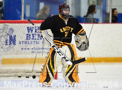 Thumbnail 1 in Amity Regional vs. Branford (SCC DII Final) photogallery.