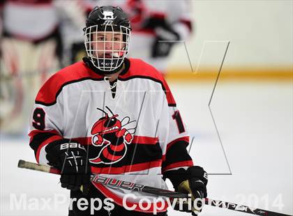 Thumbnail 1 in Amity Regional vs. Branford (SCC DII Final) photogallery.
