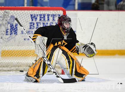 Thumbnail 3 in Amity Regional vs. Branford (SCC DII Final) photogallery.