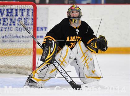 Thumbnail 1 in Amity Regional vs. Branford (SCC DII Final) photogallery.