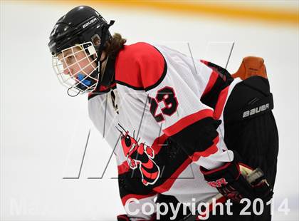 Thumbnail 1 in Amity Regional vs. Branford (SCC DII Final) photogallery.