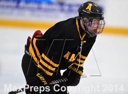 Thumbnail 1 in Amity Regional vs. Branford (SCC DII Final) photogallery.