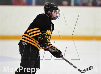 Thumbnail 3 in Amity Regional vs. Branford (SCC DII Final) photogallery.