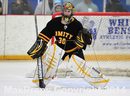 Thumbnail 1 in Amity Regional vs. Branford (SCC DII Final) photogallery.