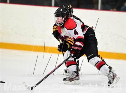 Thumbnail 3 in Amity Regional vs. Branford (SCC DII Final) photogallery.