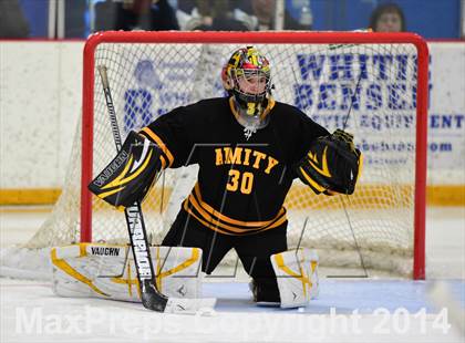 Thumbnail 1 in Amity Regional vs. Branford (SCC DII Final) photogallery.