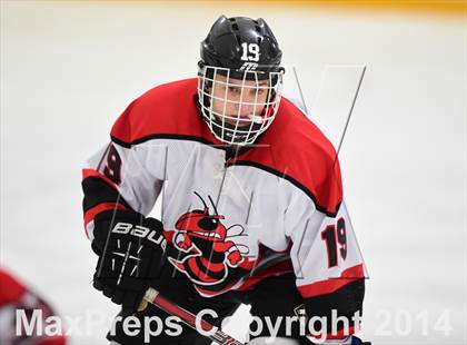 Thumbnail 1 in Amity Regional vs. Branford (SCC DII Final) photogallery.