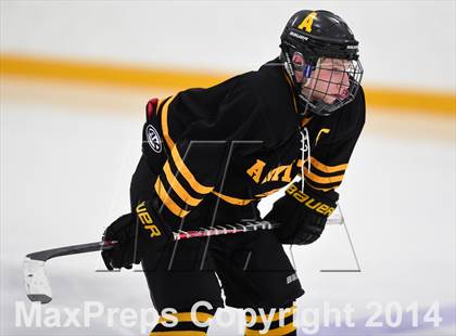 Thumbnail 1 in Amity Regional vs. Branford (SCC DII Final) photogallery.