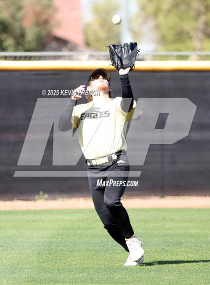 Thumbnail 1 in O'Connor vs. Saguaro photogallery.