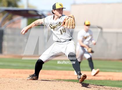 Thumbnail 1 in O'Connor vs. Saguaro photogallery.