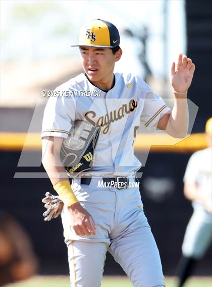 Thumbnail 1 in O'Connor vs. Saguaro photogallery.