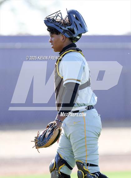 Thumbnail 1 in O'Connor vs. Saguaro photogallery.