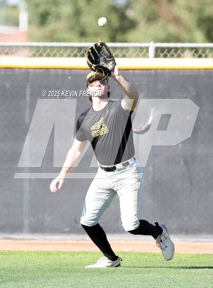 Thumbnail 1 in O'Connor vs. Saguaro photogallery.