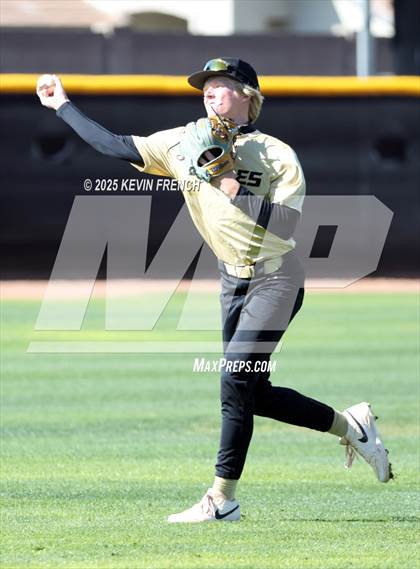 Thumbnail 1 in O'Connor vs. Saguaro photogallery.