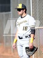 Photo from the gallery "O'Connor vs. Saguaro"
