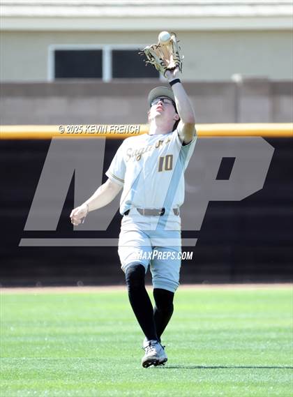 Thumbnail 3 in O'Connor vs. Saguaro photogallery.