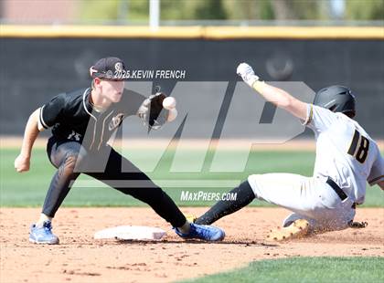 Thumbnail 3 in O'Connor vs. Saguaro photogallery.