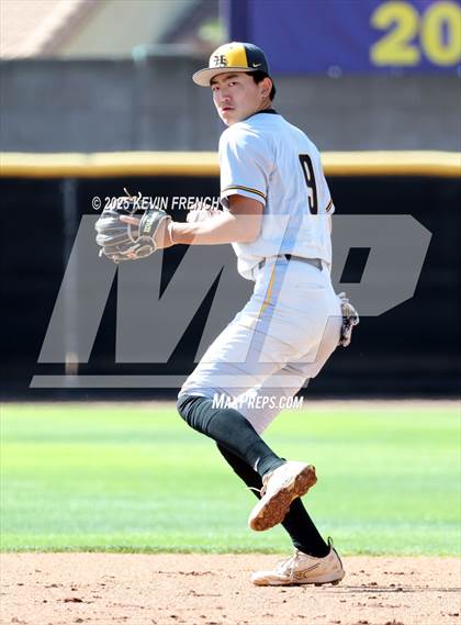 Thumbnail 1 in O'Connor vs. Saguaro photogallery.