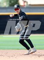 Photo from the gallery "O'Connor vs. Saguaro"