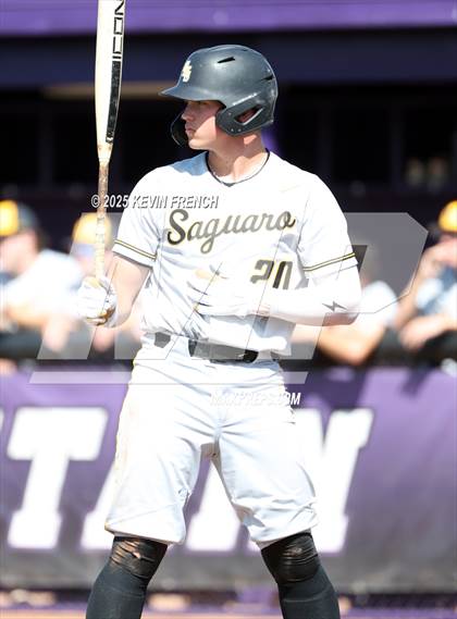 Thumbnail 3 in O'Connor vs. Saguaro photogallery.