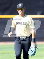 Photo from the gallery "O'Connor vs. Saguaro"