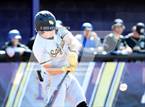 Photo from the gallery "O'Connor vs. Saguaro"
