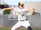 Photo from the gallery "O'Connor vs. Saguaro"