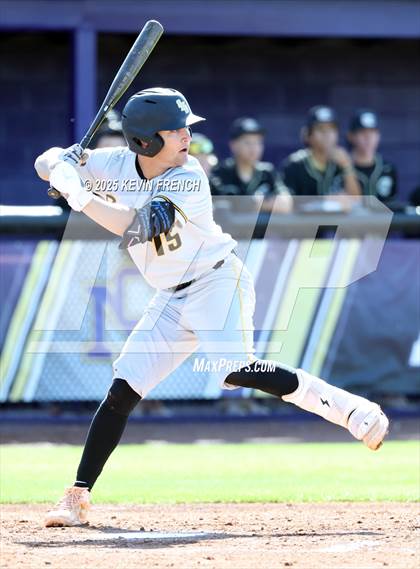 Thumbnail 1 in O'Connor vs. Saguaro photogallery.