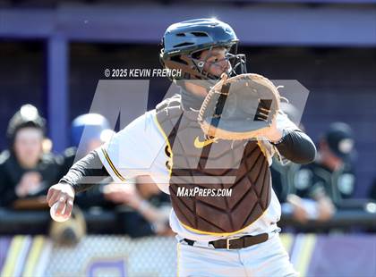 Thumbnail 1 in O'Connor vs. Saguaro photogallery.