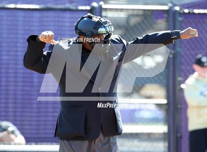Thumbnail 3 in O'Connor vs. Saguaro photogallery.