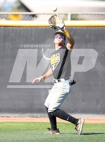 Thumbnail 2 in O'Connor vs. Saguaro photogallery.