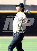 Photo from the gallery "O'Connor vs. Saguaro"