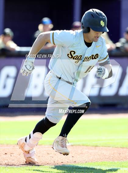 Thumbnail 1 in O'Connor vs. Saguaro photogallery.