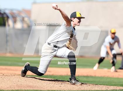 Thumbnail 1 in O'Connor vs. Saguaro photogallery.