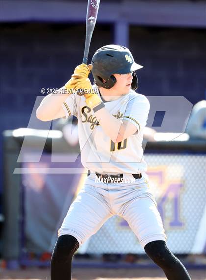Thumbnail 1 in O'Connor vs. Saguaro photogallery.