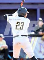 Photo from the gallery "O'Connor vs. Saguaro"