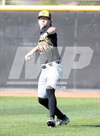 Photo from the gallery "O'Connor vs. Saguaro"