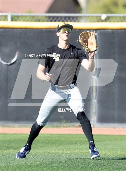 Thumbnail 3 in O'Connor vs. Saguaro photogallery.